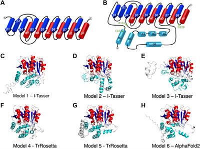 Molecular Modeling of ABHD5 Structure and Ligand Recognition